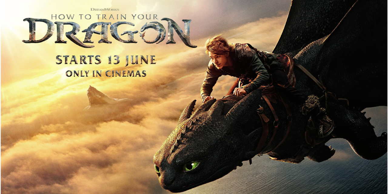 How to train your dragon